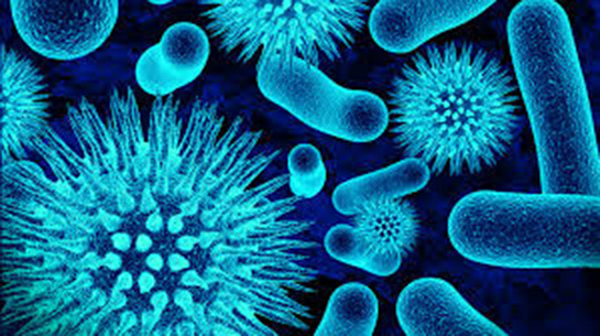 Hepatit B Nedir?